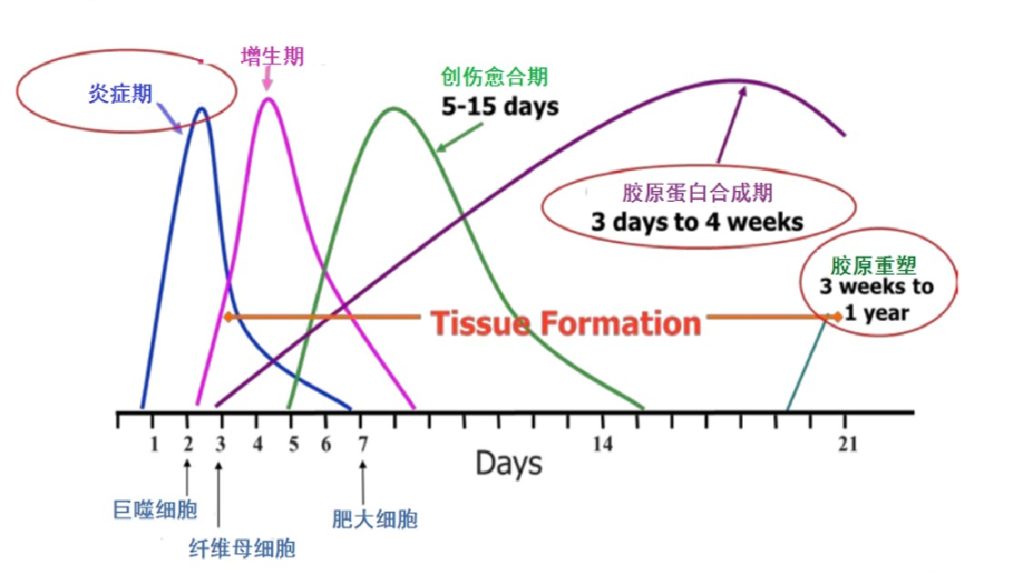 Monopolar RF Effect Cycle