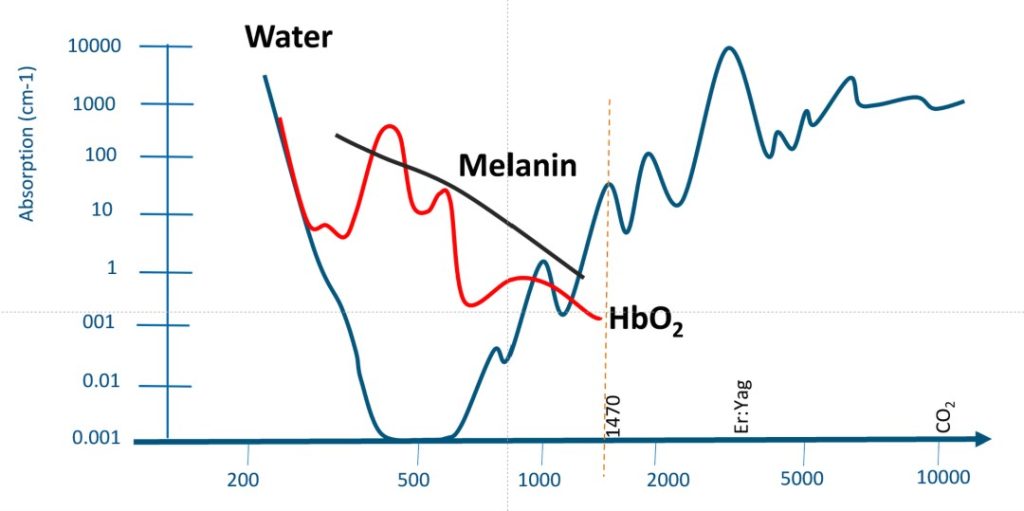 Photothermal theory-biological tissue absorption curve